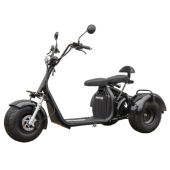 Изображение Электроскутер Maxxter TRIKE (blaсk)
