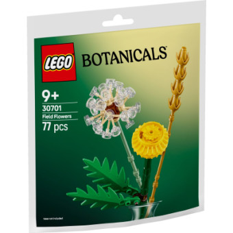 Зображення Конструктор Lego Botanicals Польові квіти (30701)