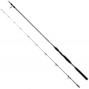 Зображення Вудка BRAIN FISHING Apex Boat 2.40m max 250g (1858.41.95)