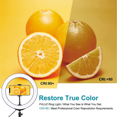 Набір блогера PULUZ Ring USB LED lamp 10"  tripod 1.1m (PKT3053B) фото №3