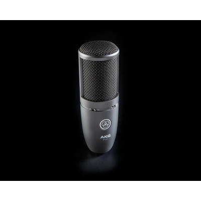 Микрофон AKG P120 Black (3101H00400) фото №8