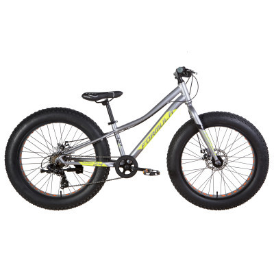 Formula 24" PALADIN рама-12" 2021 Grey/Green (OPS-FR-24-297)