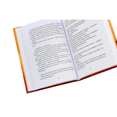 Книга Vivat Усі пригоди Бурундука - Iван Андрусяк  (9789669822888) фото №5