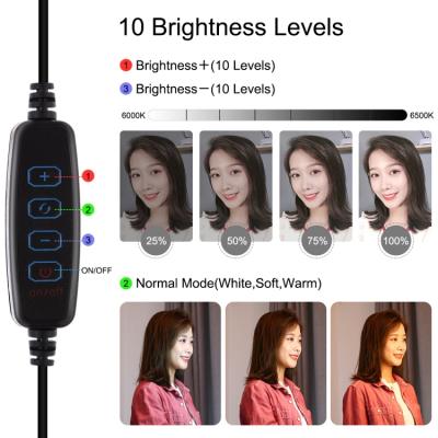 Набір блогера PULUZ 4in1 (ring light, mount, phone holder, microphone) (PKT3025L) фото №6