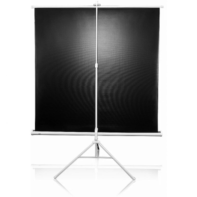 Екран Elite Screens T85NWS1 фото №2