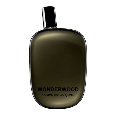 Парфюмированная вода Comme Des Garcons Wonderwood 100 мл (8411061707821)