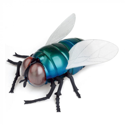 Радиоуправляемая игрушка Best Fun Toys Giant Fly (6337204)