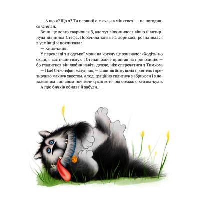 Книга Vivat Морськосвинський детектив - Iван Андрусяк  (9789669821508) фото №10