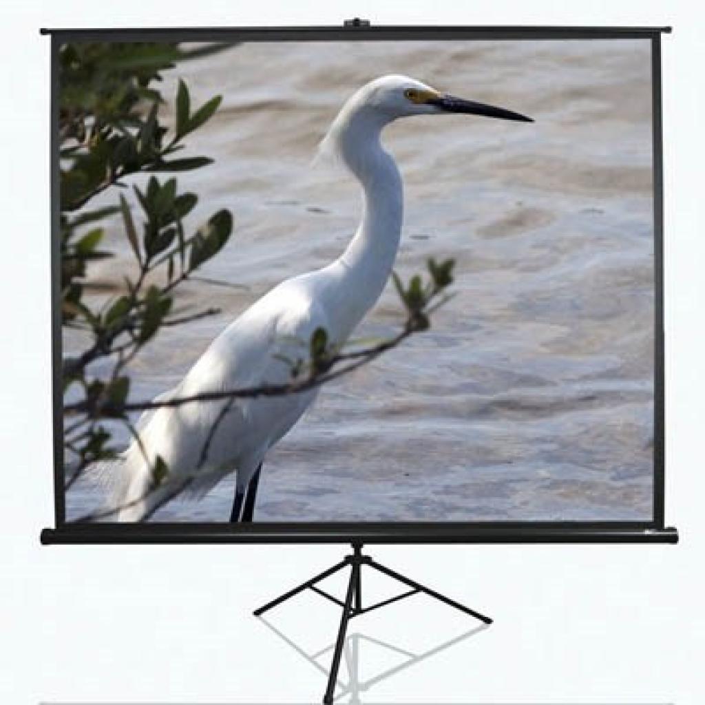 Экран Elite Screens T84UWV1