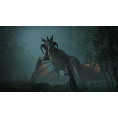Диск Sony Hogwarts Legacy, BD диск (5051895413418) фото №6