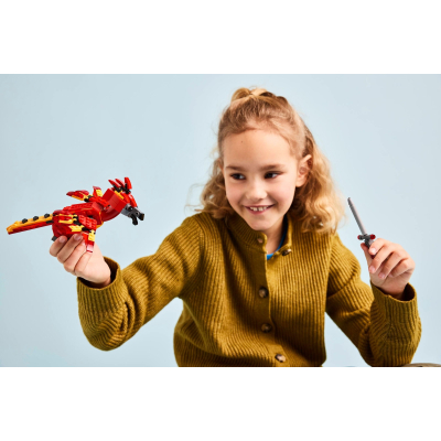 Конструктор Lego Harry Potter Фоукс: Фенікс Дамблдора (76448) фото №9