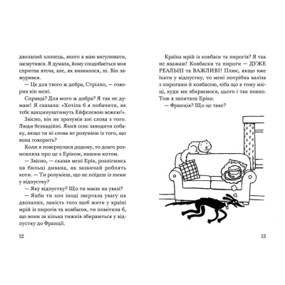 Книга Викрадення! Гаряче літо Ракети на чотирьох лапах. 5 - Джеремі Стронґ  (9786176798156) фото №10
