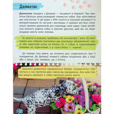 Книга Vivat Мініенциклопедія. Хатні улюбленці  (9789669827241) фото №12
