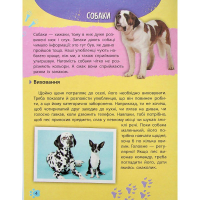 Книга Vivat Мініенциклопедія. Хатні улюбленці  (9789669827241) фото №4