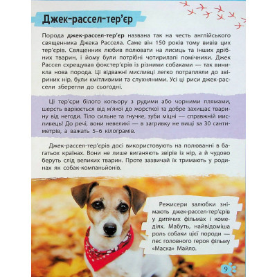 Книга Vivat Мініенциклопедія. Хатні улюбленці  (9789669827241) фото №9